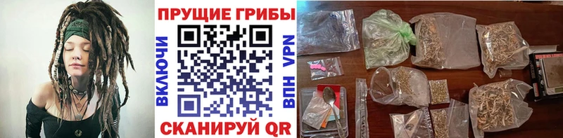 Галлюциногенные грибы Psilocybe  Кировград 